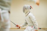 Fencing for Fun